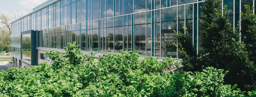 Best Commercial Landscaping CT