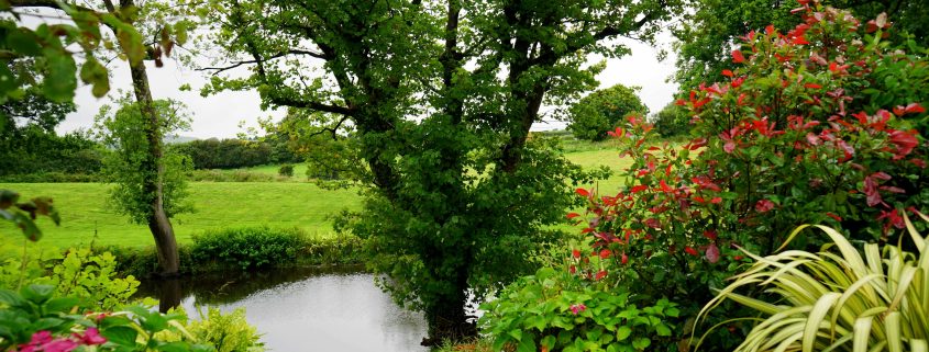 Best Commercial Landscaping CT
